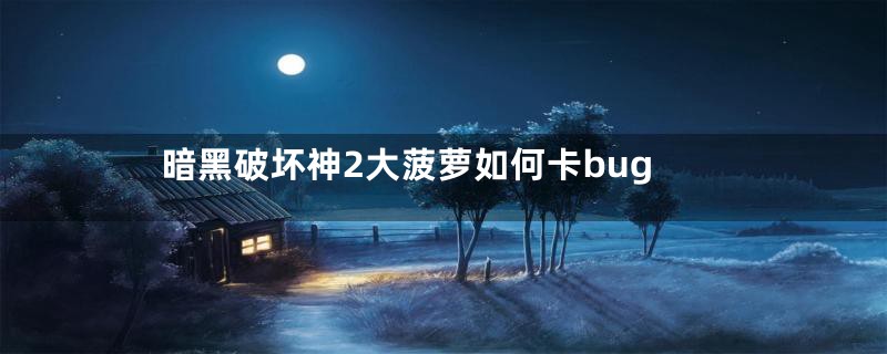 暗黑破坏神2大菠萝如何卡bug