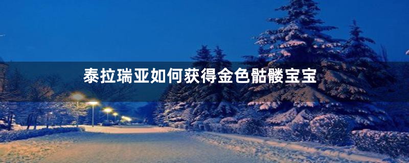 泰拉瑞亚如何获得金色骷髅宝宝