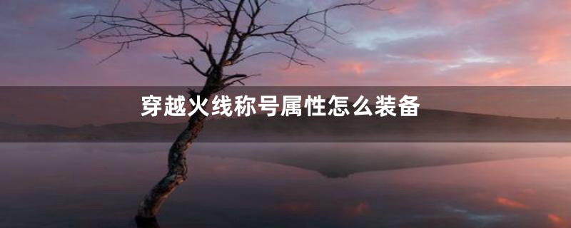 穿越火线称号属性怎么装备