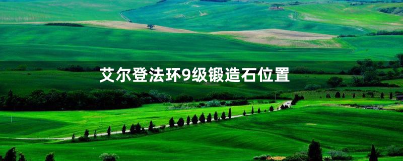 艾尔登法环9级锻造石位置