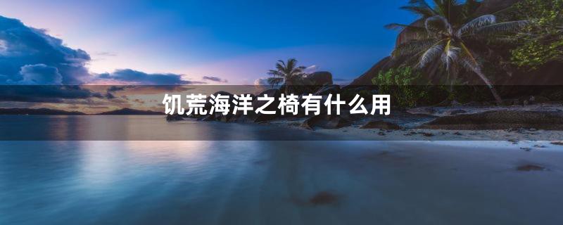 饥荒海洋之椅有什么用