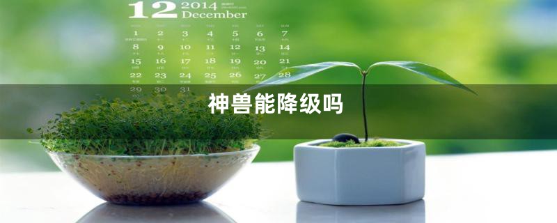 神兽能降级吗