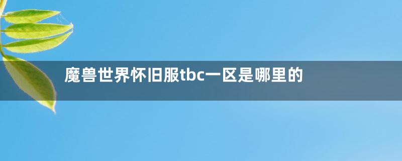 魔兽世界怀旧服tbc一区是哪里的