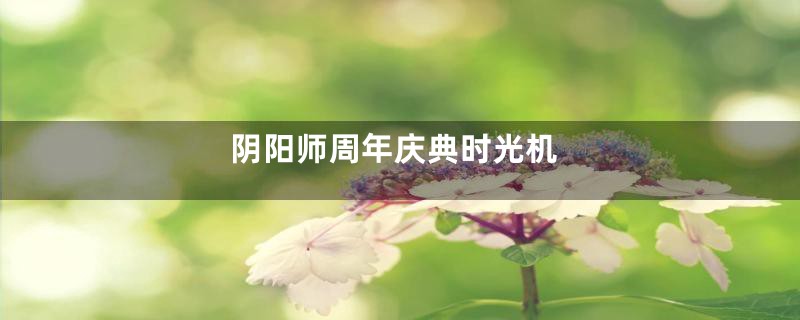 阴阳师周年庆典时光机