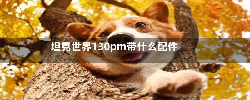 坦克世界130pm带什么配件