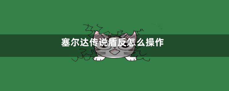 塞尔达传说盾反怎么操作