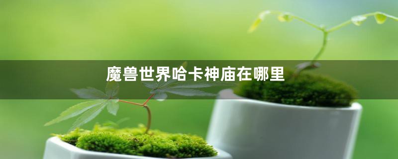 魔兽世界哈卡神庙在哪里