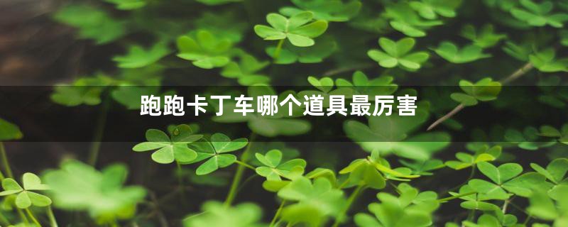跑跑卡丁车哪个道具最厉害