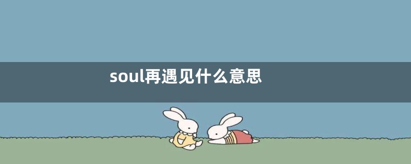 soul再遇见什么意思