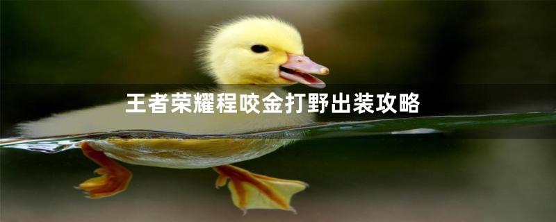 王者荣耀程咬金打野出装攻略