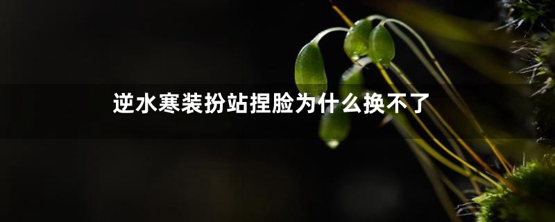 逆水寒装扮站捏脸为什么换不了