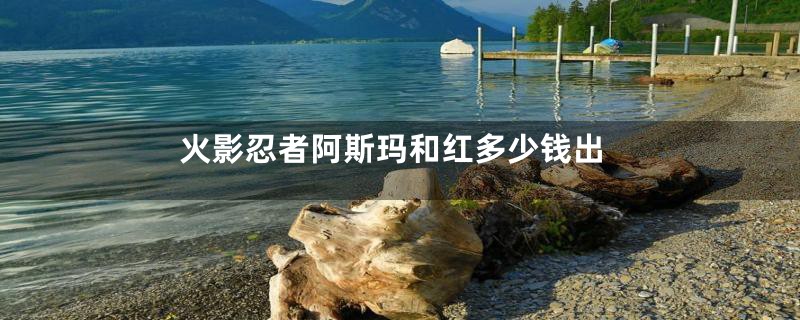 火影忍者阿斯玛和红多少钱出