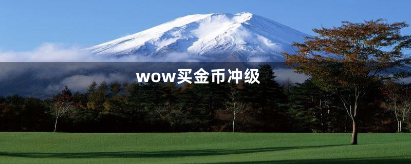 wow买金币冲级