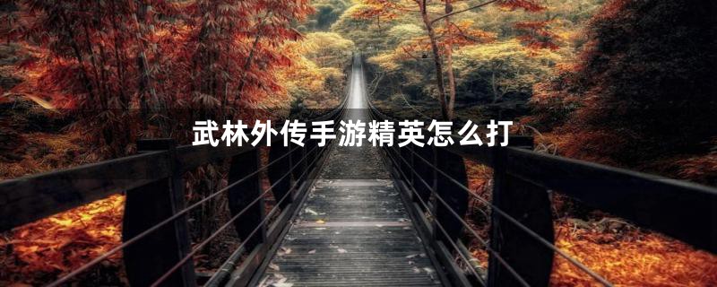 武林外传手游精英怎么打