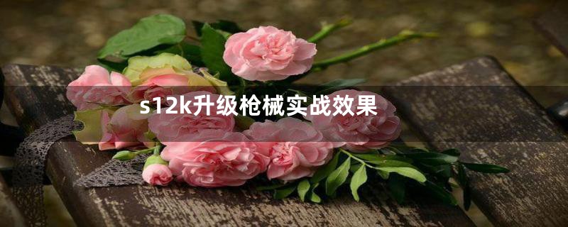 s12k升级枪械实战效果