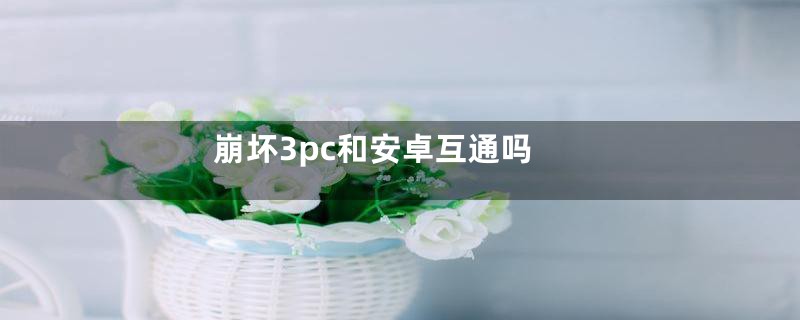 崩坏3pc和安卓互通吗