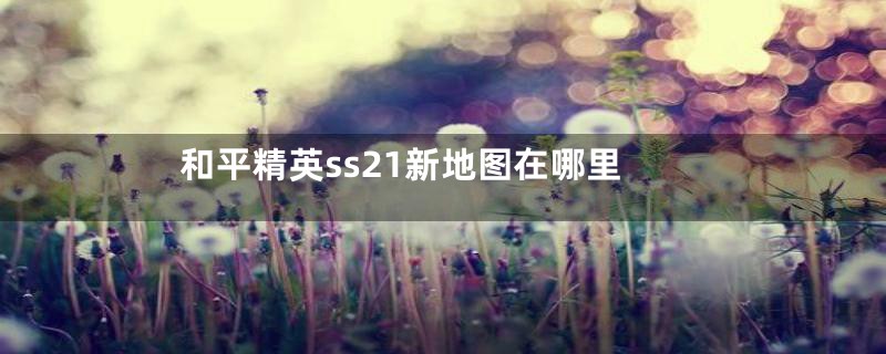 和平精英ss21新地图在哪里