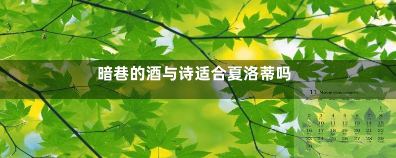 暗巷的酒与诗适合夏洛蒂吗