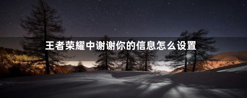 王者荣耀中谢谢你的信息怎么设置
