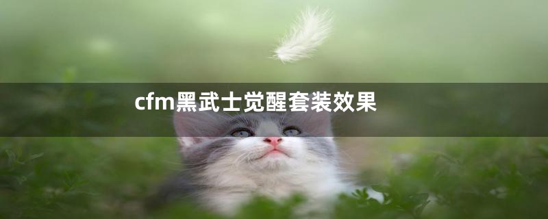 cfm黑武士觉醒套装效果