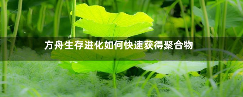 方舟生存进化如何快速获得聚合物