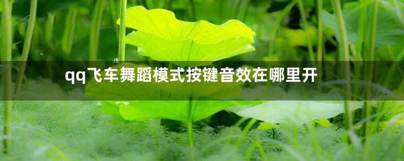 qq飞车舞蹈模式按键音效在哪里开
