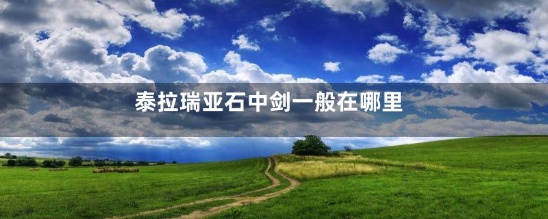 泰拉瑞亚石中剑一般在哪里