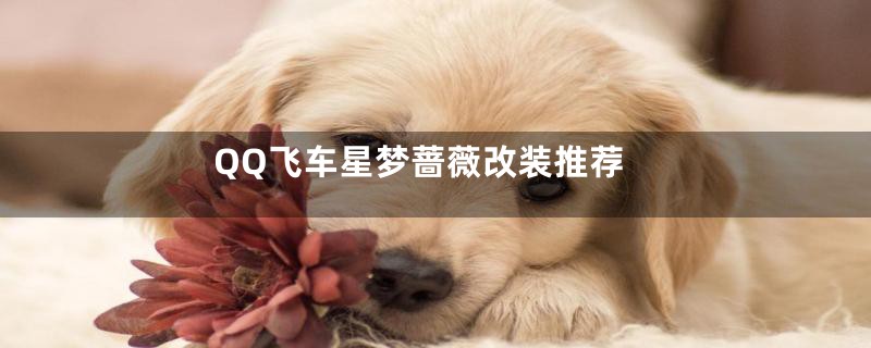 QQ飞车星梦蔷薇改装推荐