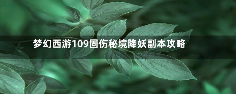 梦幻西游109固伤秘境降妖副本攻略