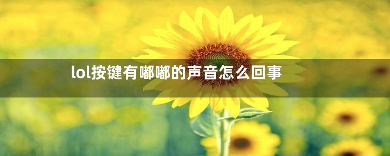lol按键有嘟嘟的声音怎么回事