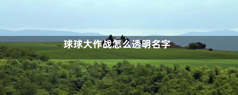 球球大作战怎么透明名字