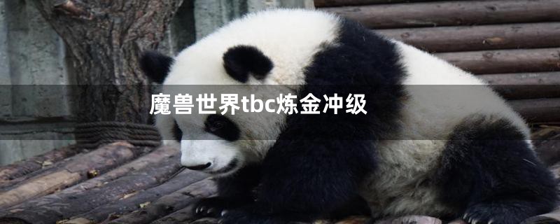 魔兽世界tbc炼金冲级