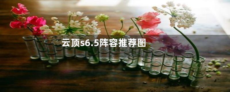 云顶s6.5阵容推荐图
