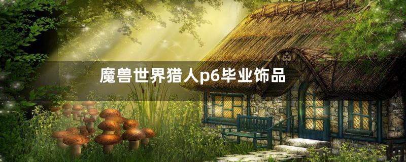 魔兽世界猎人p6毕业饰品