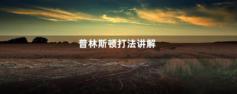 普林斯顿打法讲解