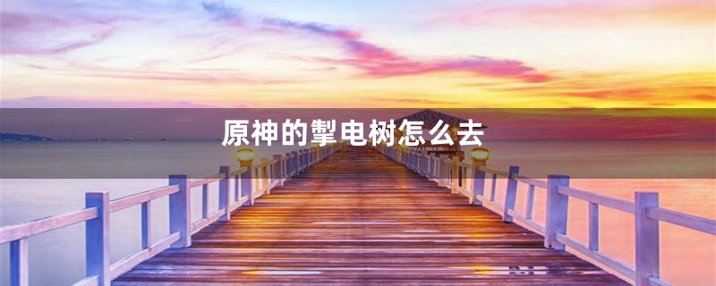 原神的掣电树怎么去