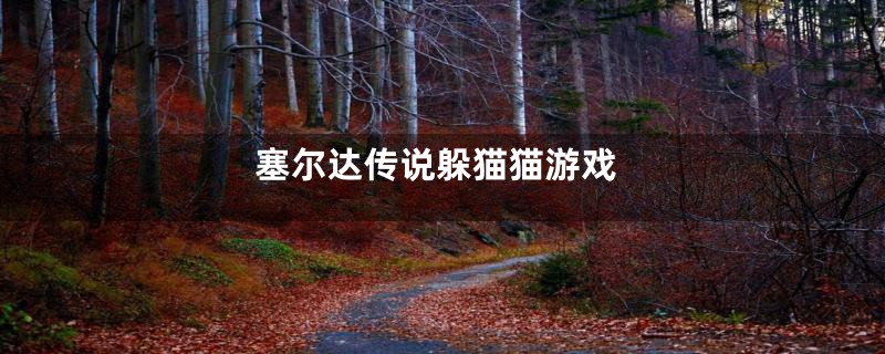 塞尔达传说躲猫猫游戏