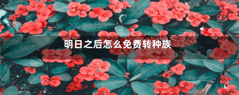 明日之后怎么免费转种族