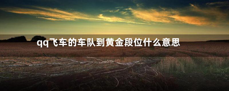 qq飞车的车队到黄金段位什么意思