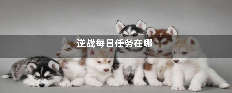 逆战每日任务在哪