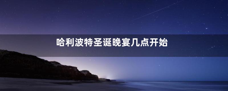 哈利波特圣诞晚宴几点开始