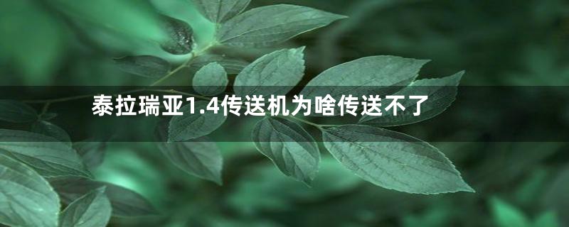泰拉瑞亚1.4传送机为啥传送不了