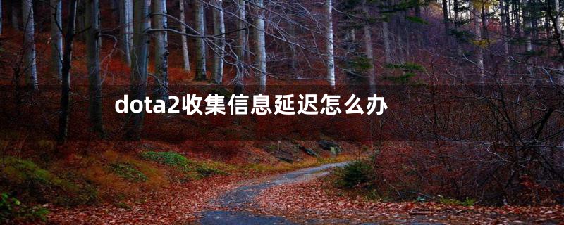 dota2收集信息延迟怎么办