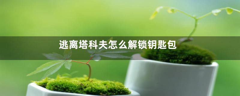 逃离塔科夫怎么解锁钥匙包