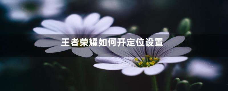 王者荣耀如何开定位设置