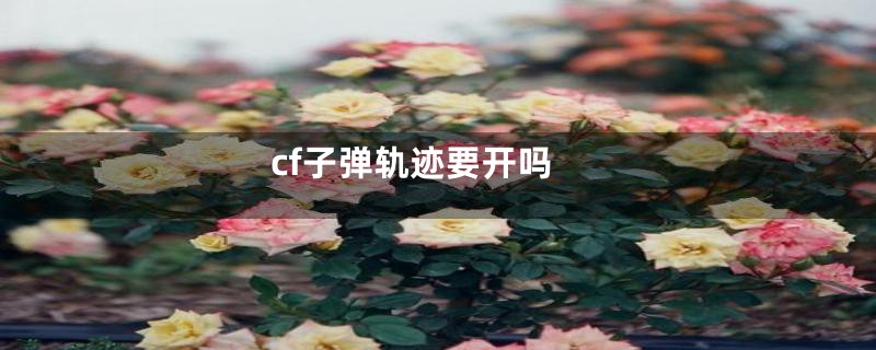 cf子弹轨迹要开吗