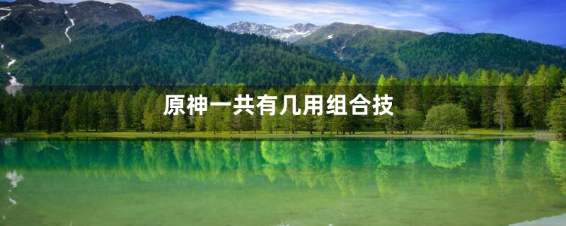 原神一共有几用组合技