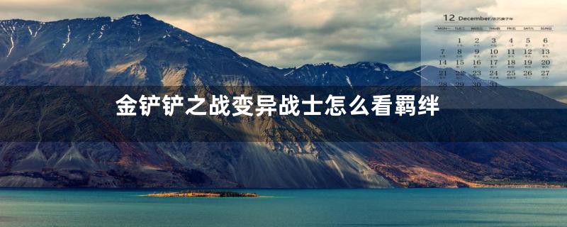 金铲铲之战变异战士怎么看羁绊