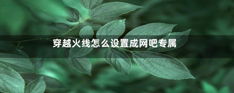 穿越火线怎么设置成网吧专属