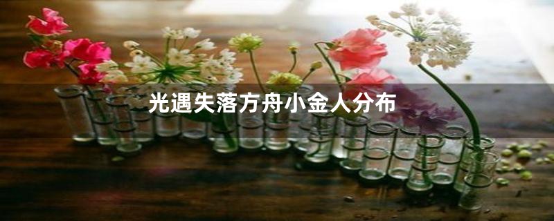 光遇失落方舟小金人分布